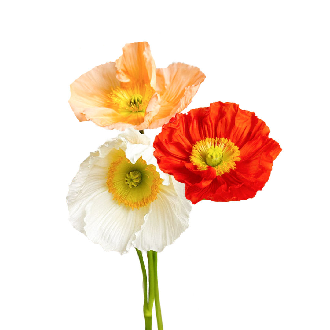 Assorted Poppies